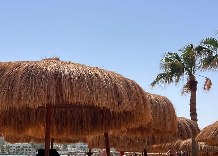 Aparthotel طيبة جولد Tiba Gold